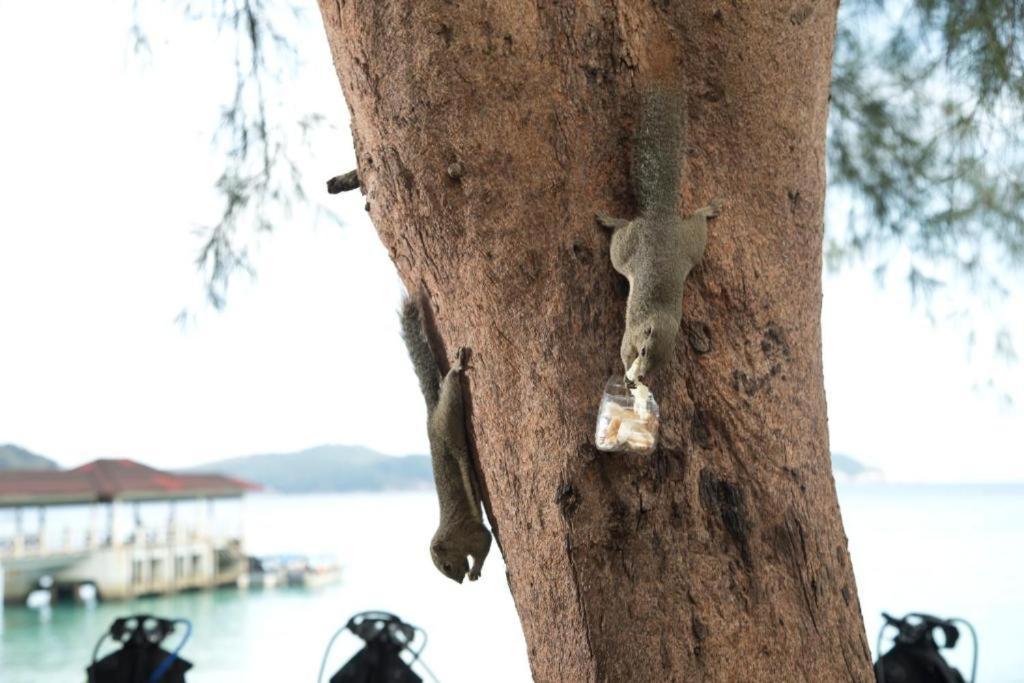 Perhentian Island Resort מראה חיצוני תמונה