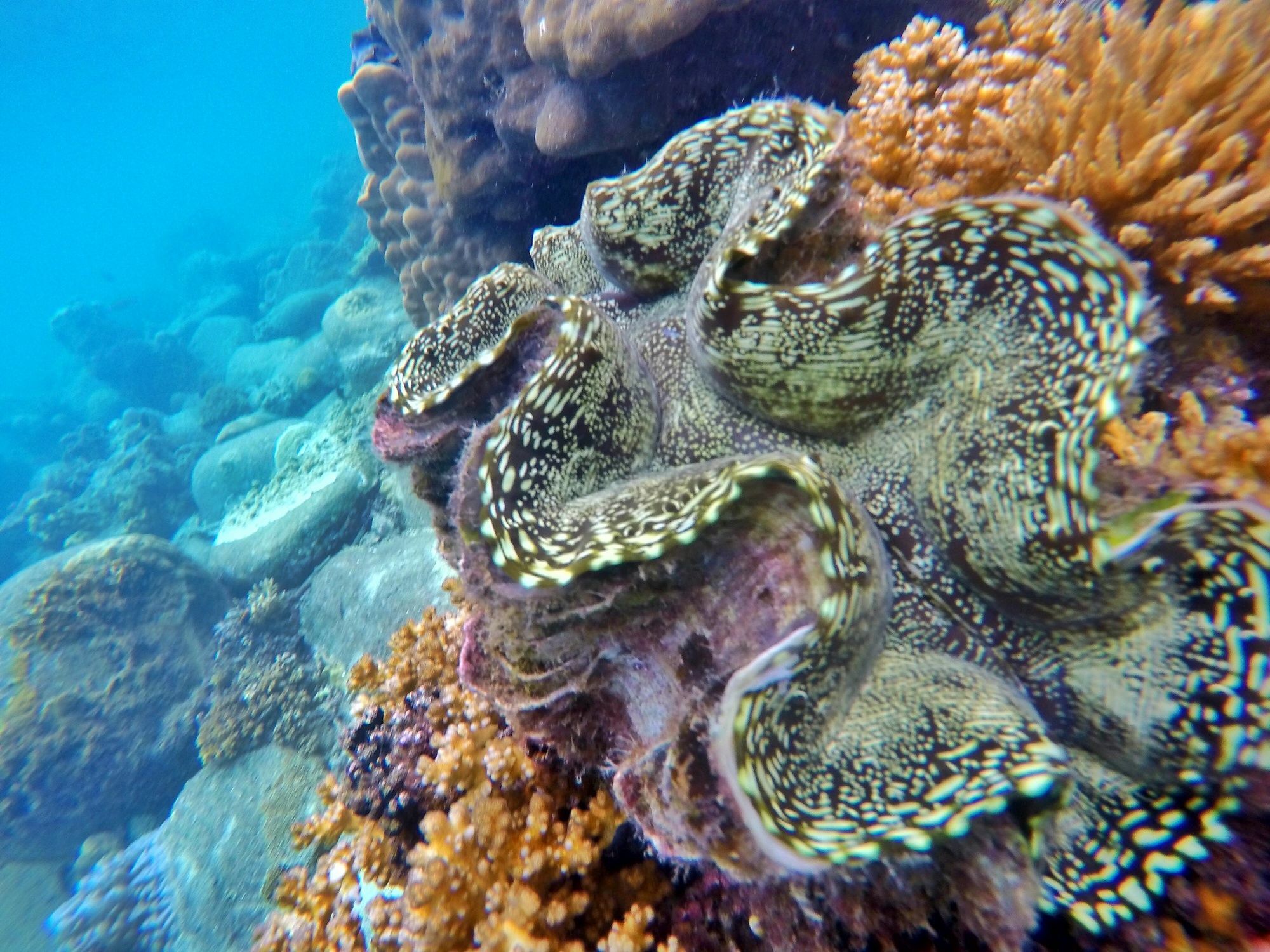 Perhentian Island Resort מראה חיצוני תמונה
